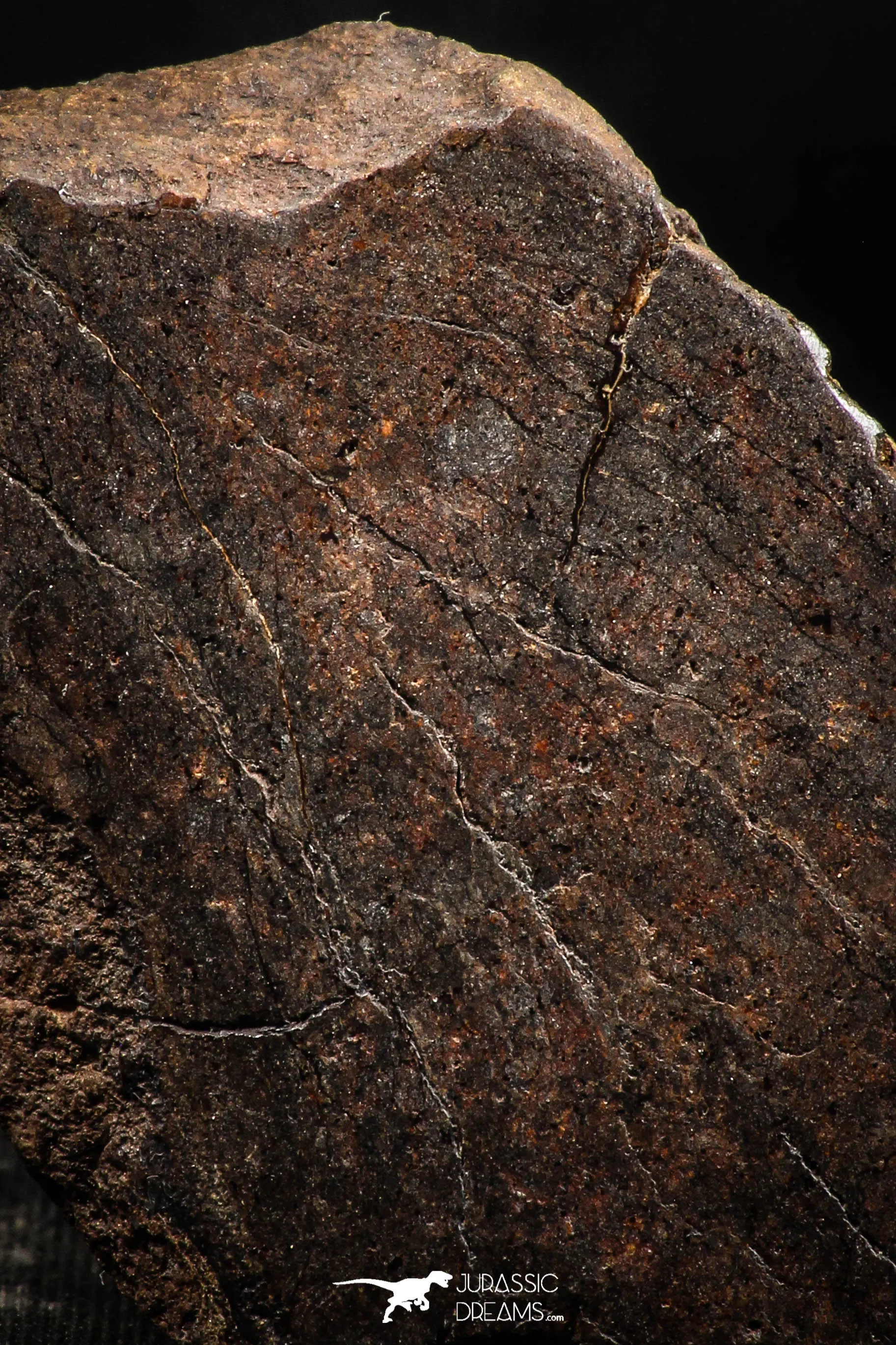 06289 - Nice Polished Section NWA Unclassified L-H Type Ordinary Chondrite Meteorite 21.0g