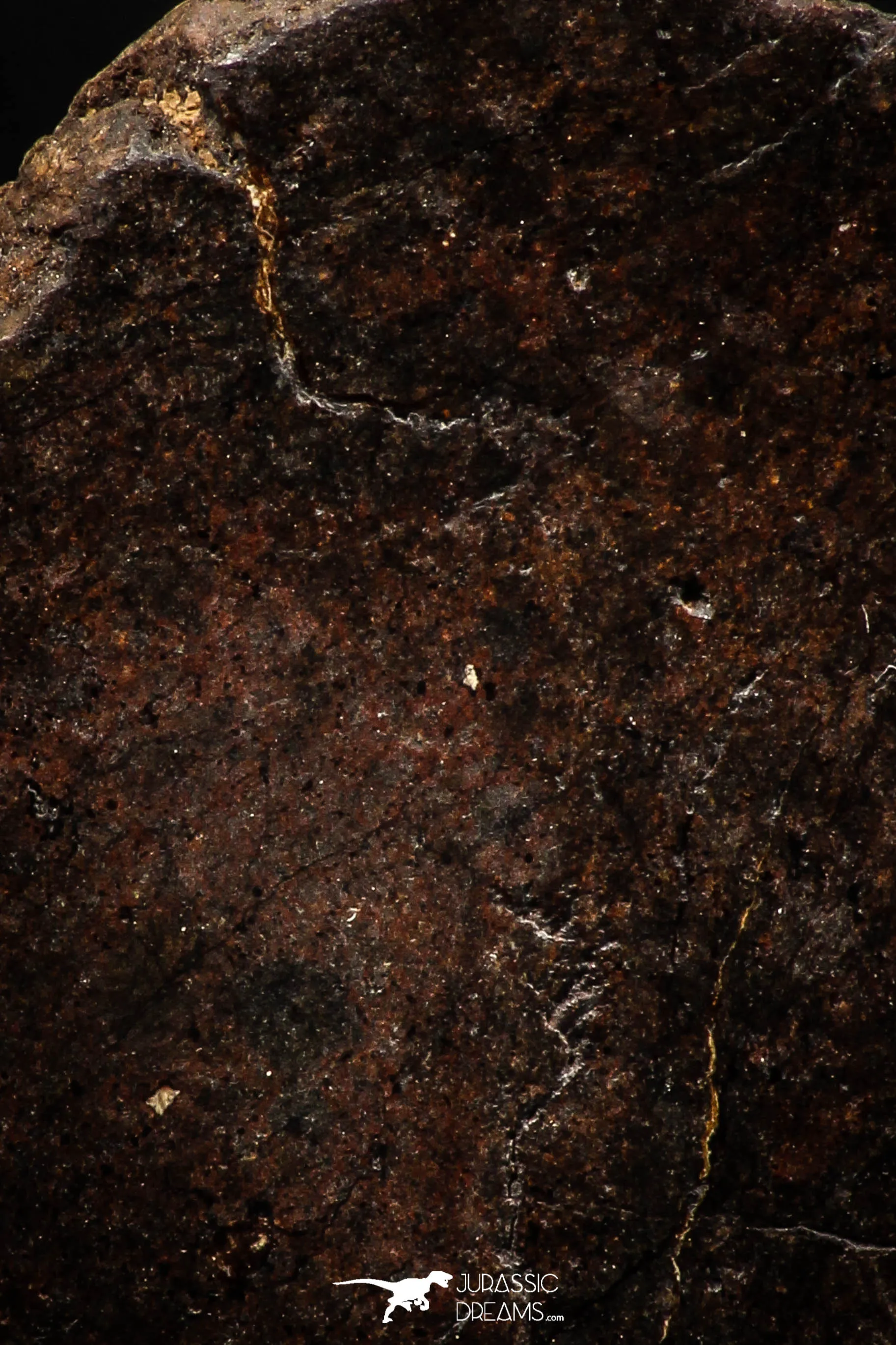 06289 - Nice Polished Section NWA Unclassified L-H Type Ordinary Chondrite Meteorite 21.0g