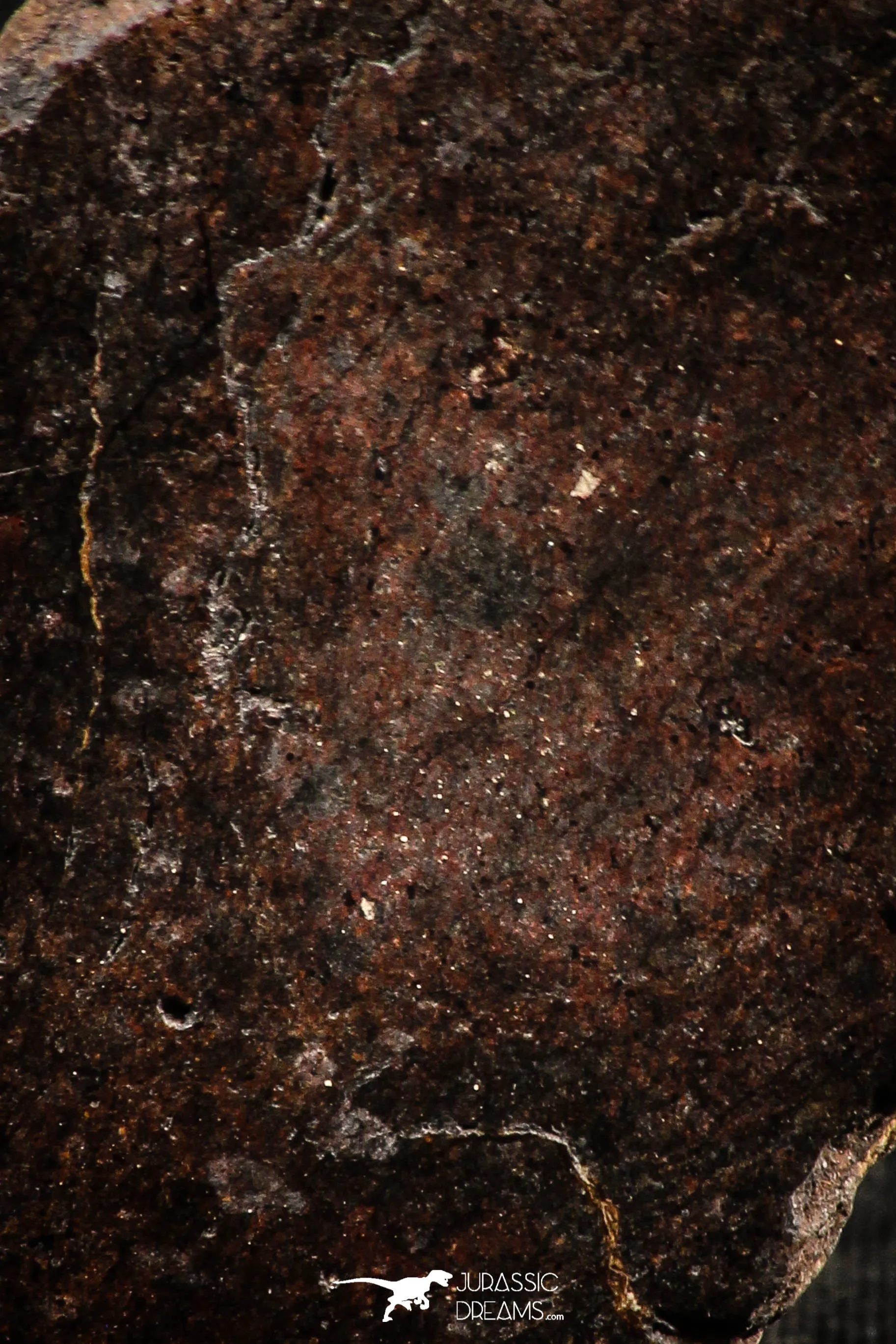06289 - Nice Polished Section NWA Unclassified L-H Type Ordinary Chondrite Meteorite 21.0g