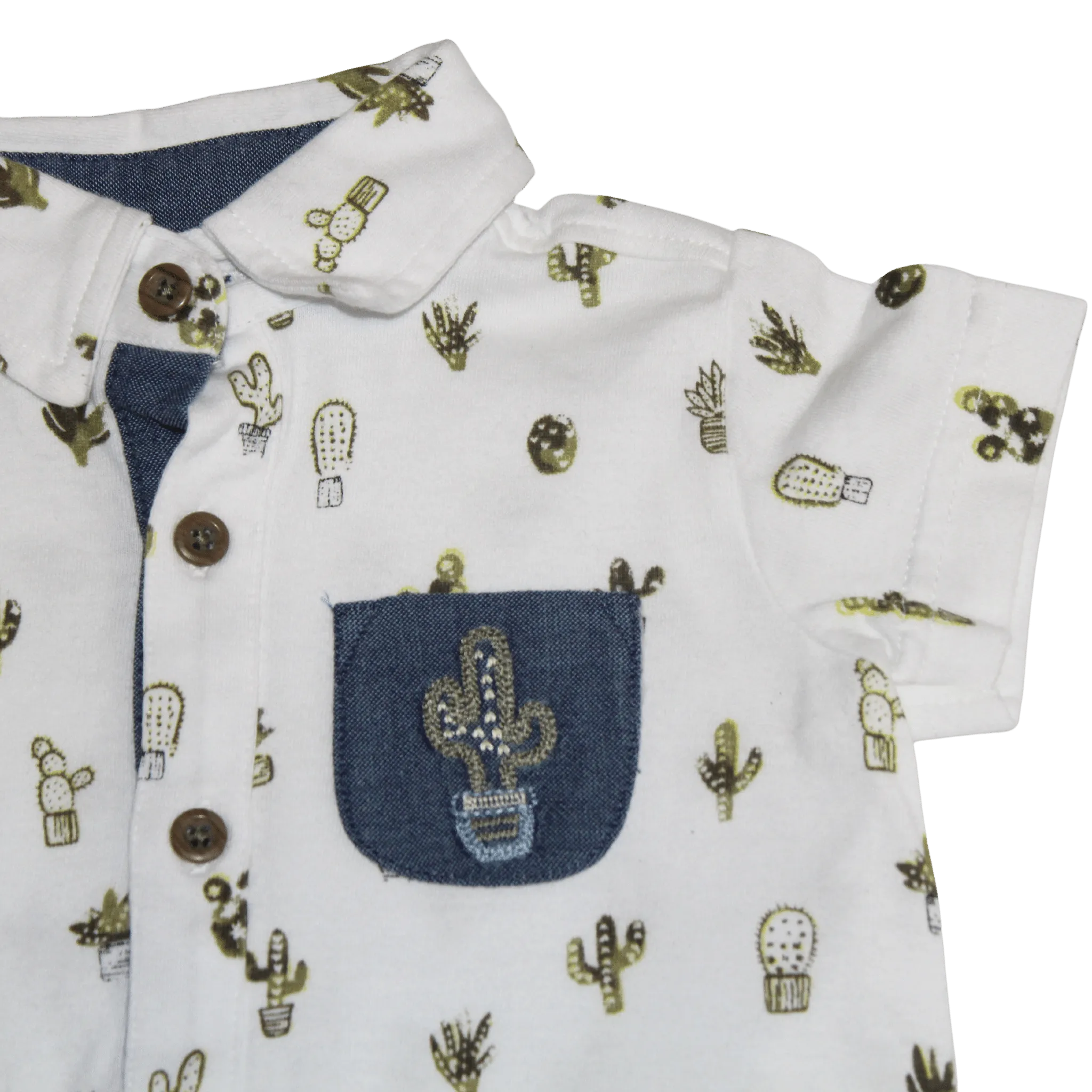 Cactus Summer Set