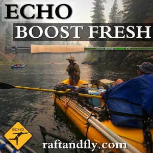 Echo Boost Fresh 6wt 9'0"