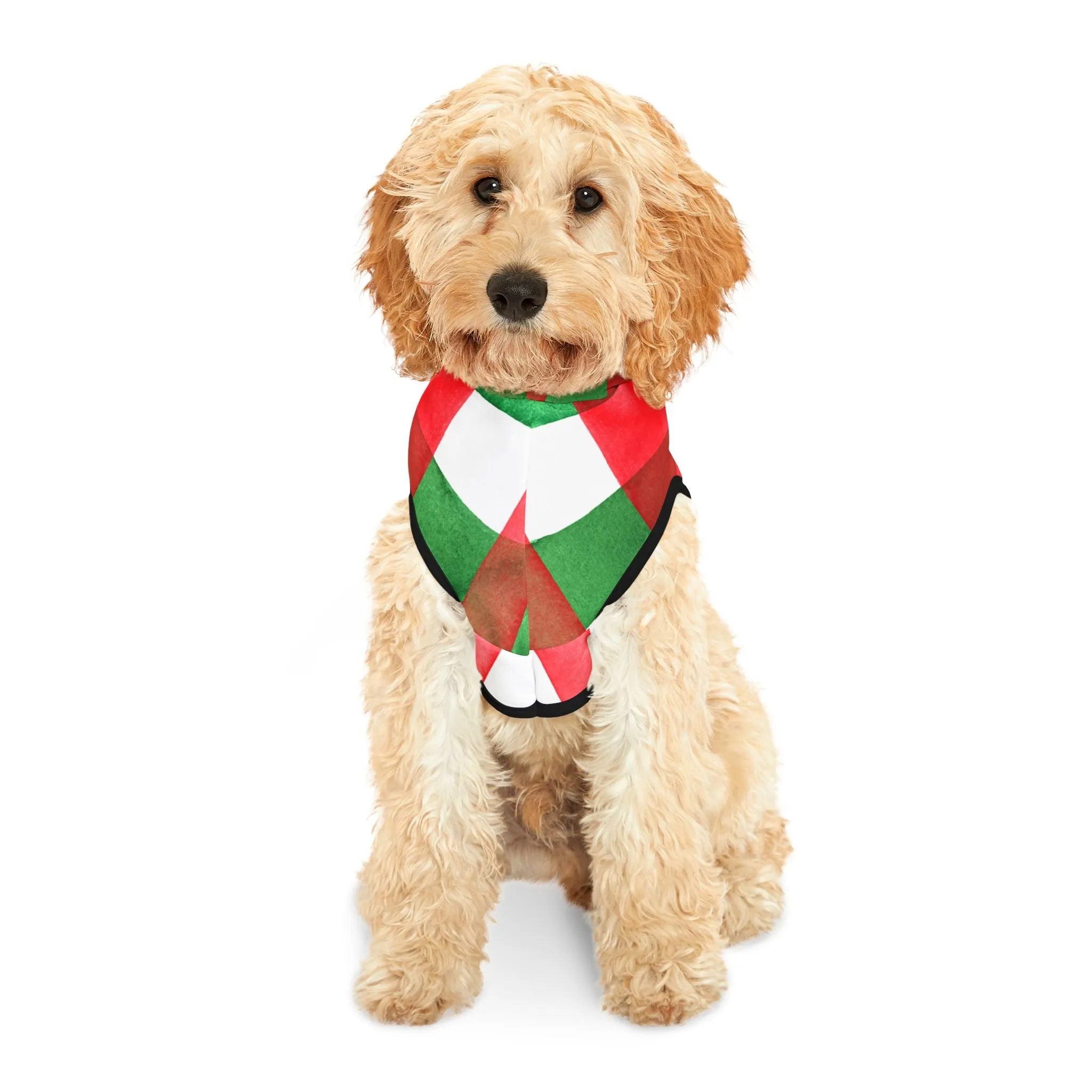 Holiday Plaid Personalized & Custom Pet Hoodie - Custom Pet Apparel