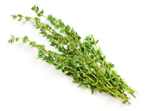 Organic Fresh Thyme
