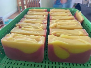 Pink Grapefruit Soap