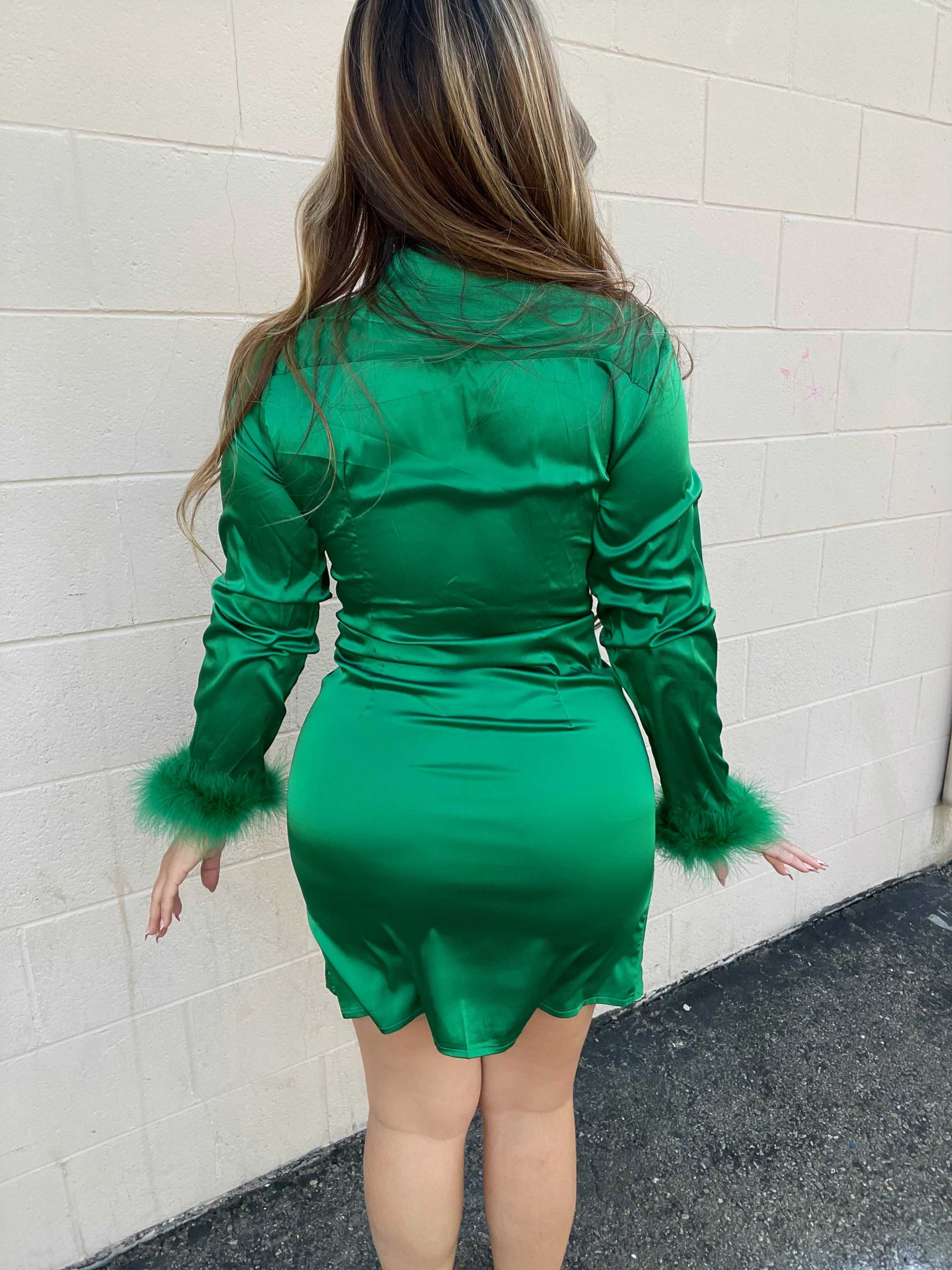 Santi Mini Dress (Green)