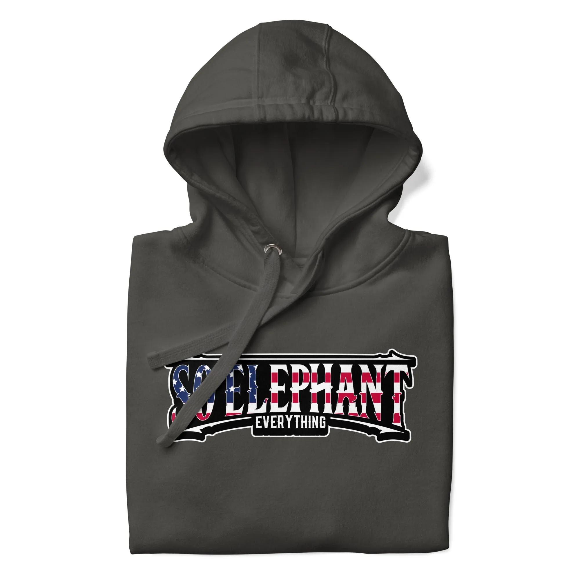 SO ELEPHANT MEN'S "OLD GLORY" HOODIE