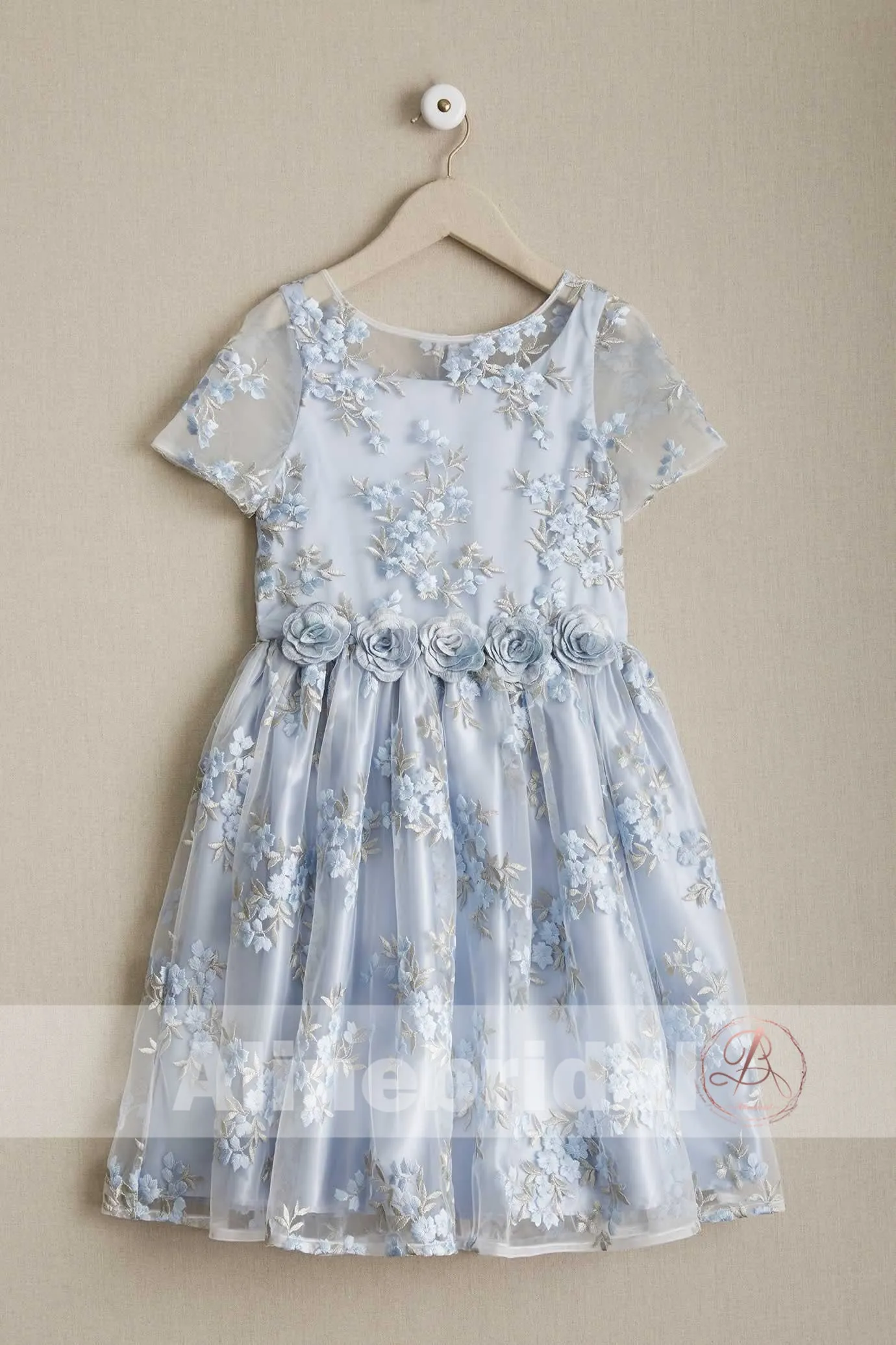Stunning Blue Organza Lace Round Neck Short Sleeve Flower Girl Dresses, FGS086