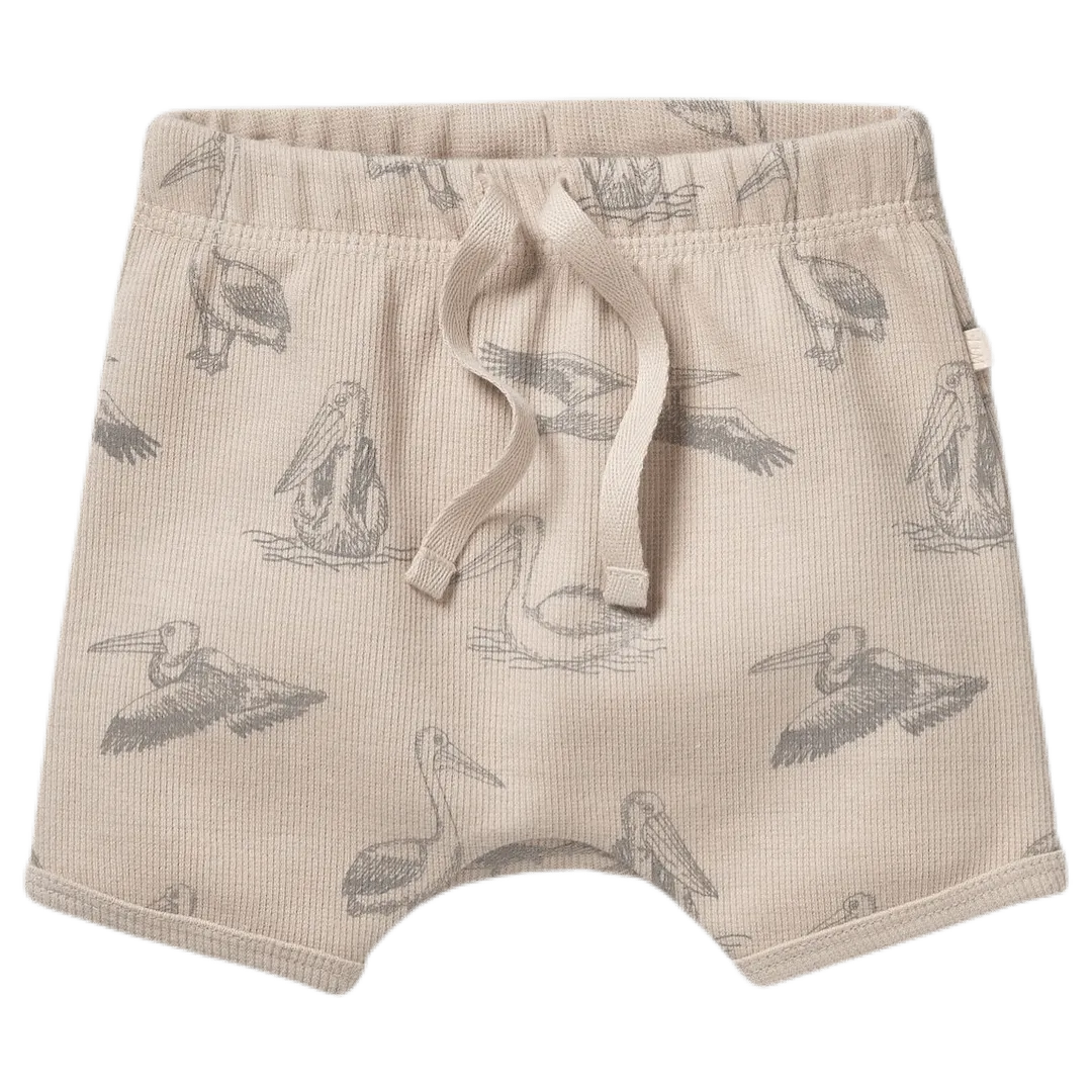 Tie Front Rib Short - Little Pelican