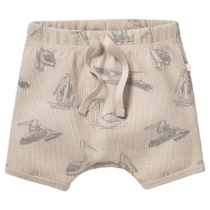 Tie Front Rib Short - Little Pelican