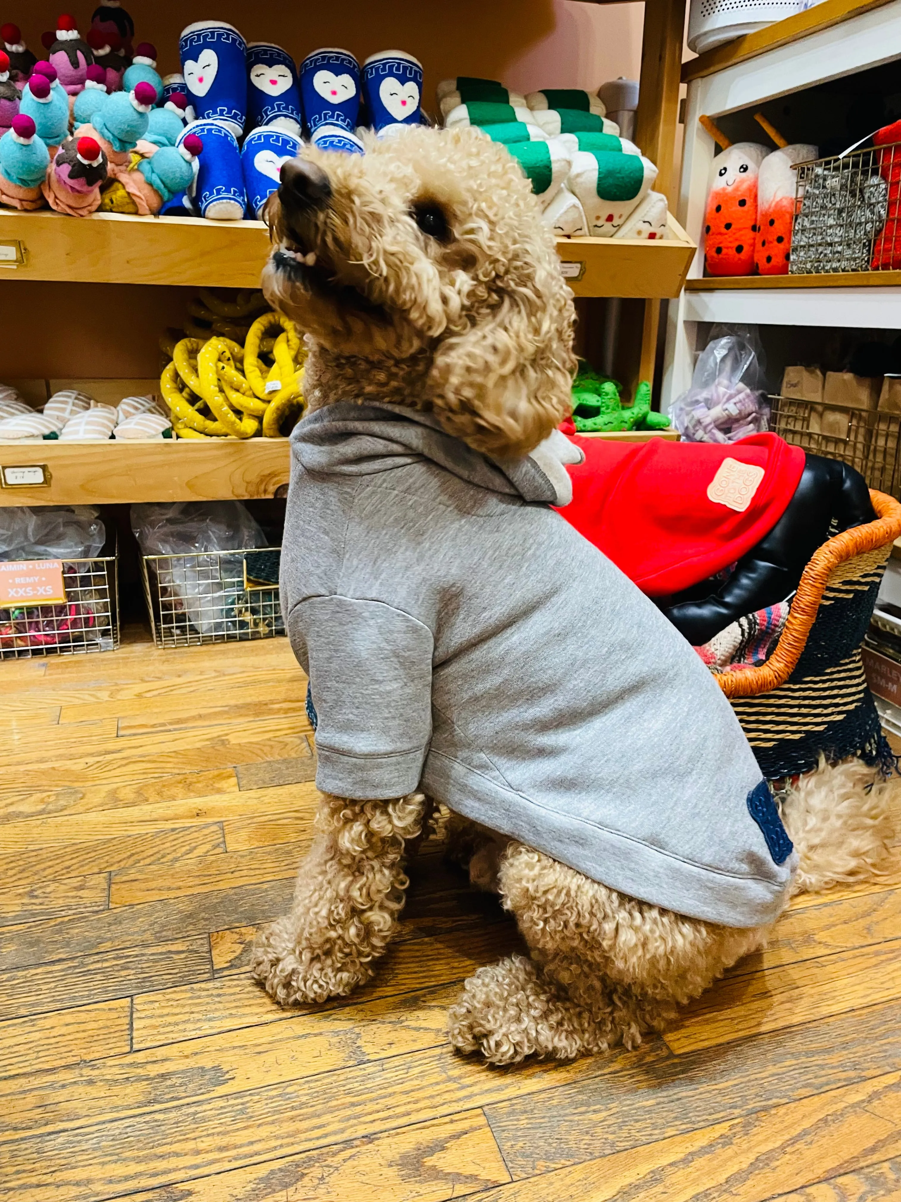 Wyatt Hoodie Sweatshirt - Red