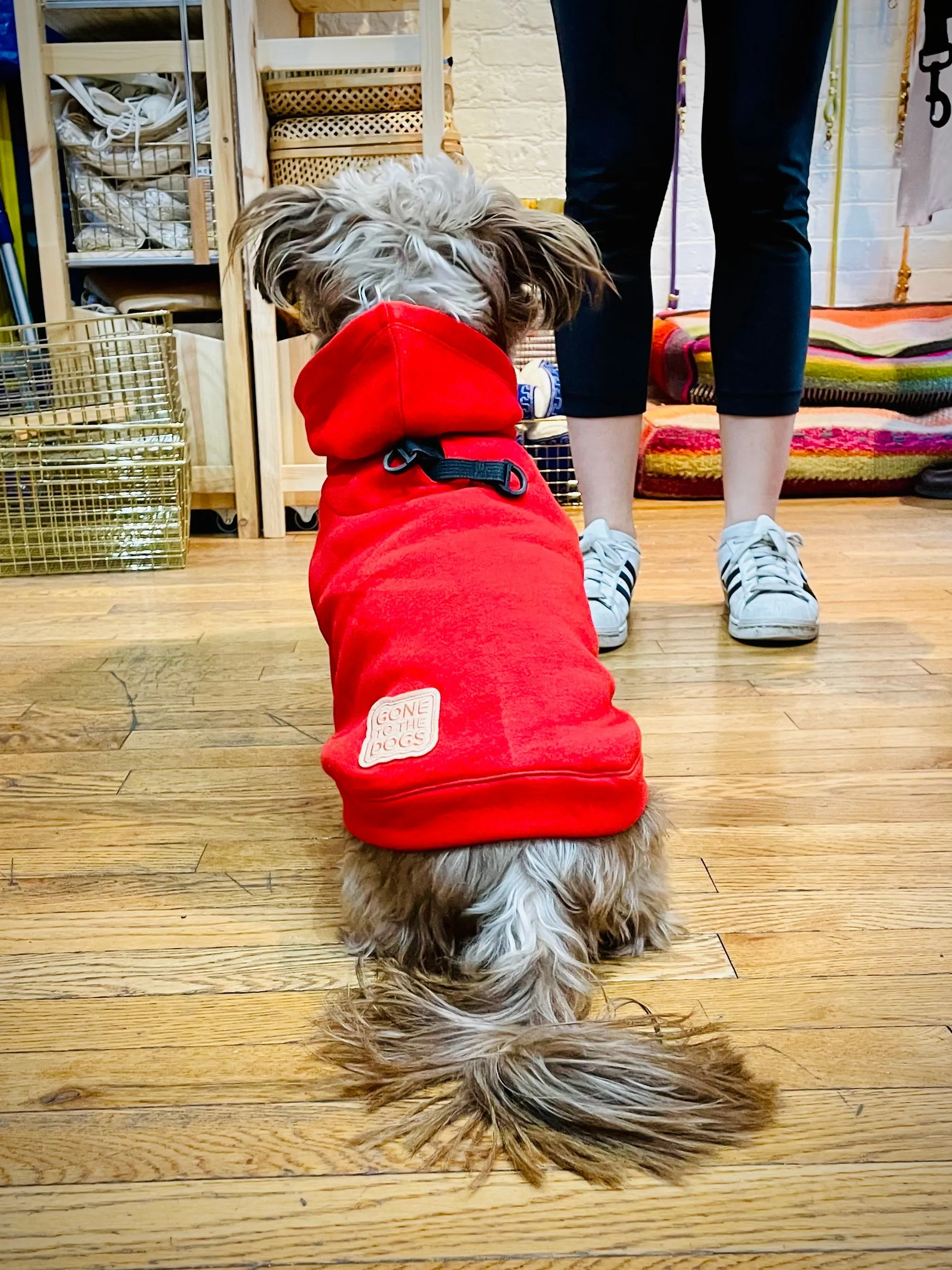 Wyatt Hoodie Sweatshirt - Red