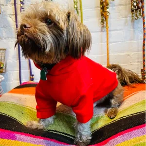 Wyatt Hoodie Sweatshirt - Red